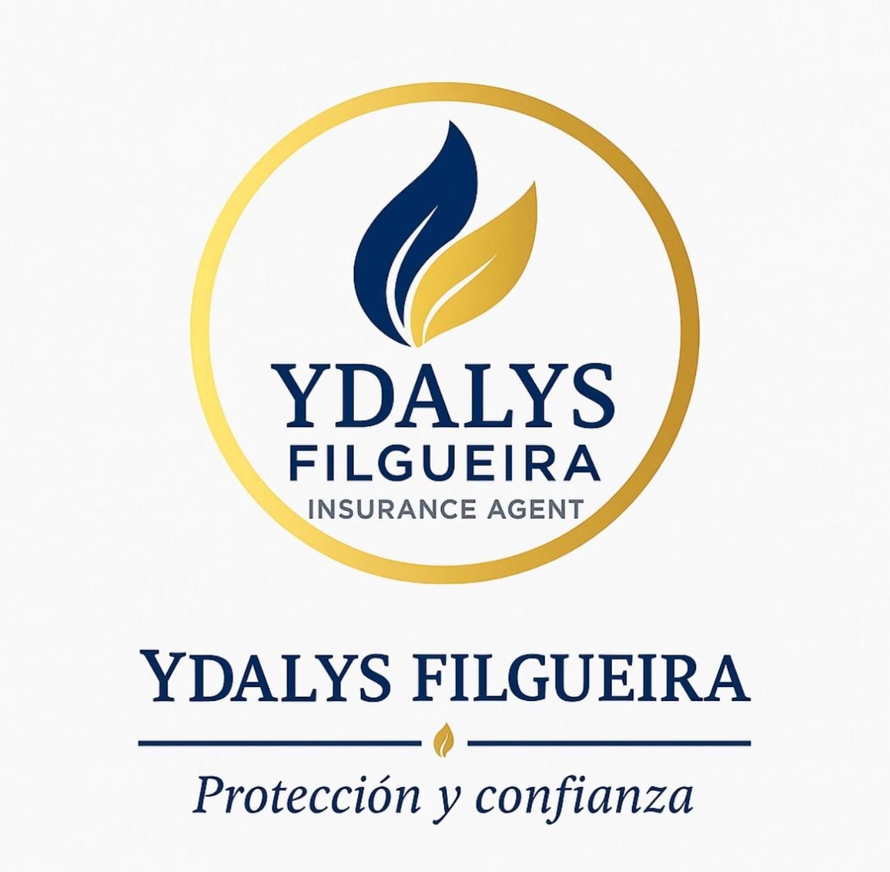 Ydalys Filgueira Insurance